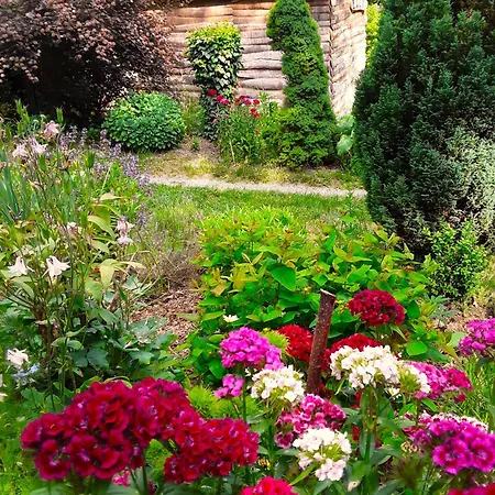 Casetta-felicita Semesterbostad Bossolasco