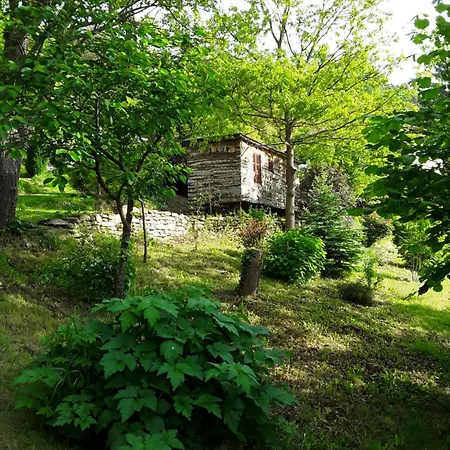 Casetta-felicita Holiday home